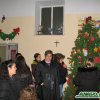 spoglio albero_09_ 4